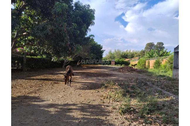 Lotes, Venta, Palmira - $650.000.000