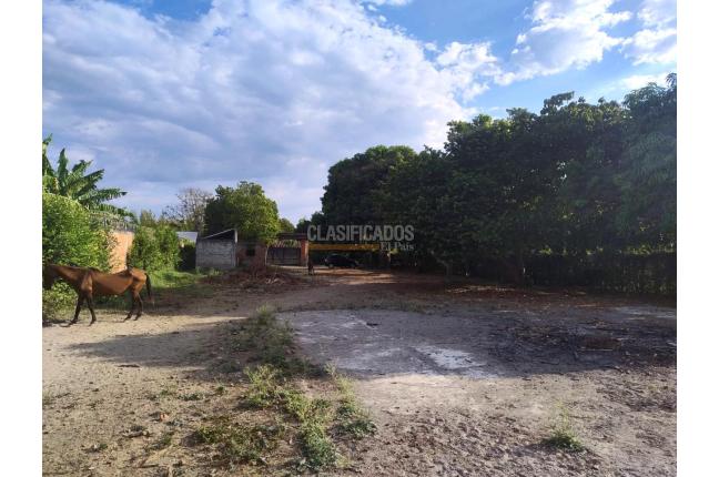 Lotes, Venta, Palmira - $650.000.000