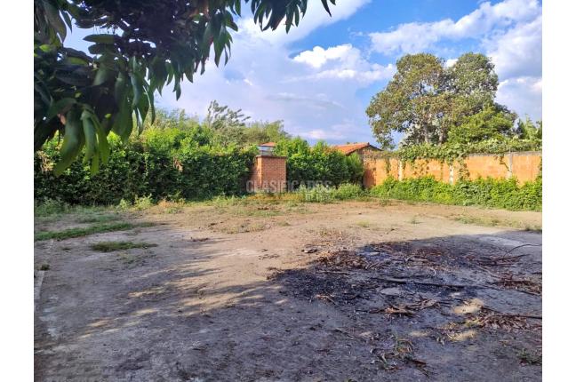 Lotes, Venta, Palmira - $650.000.000