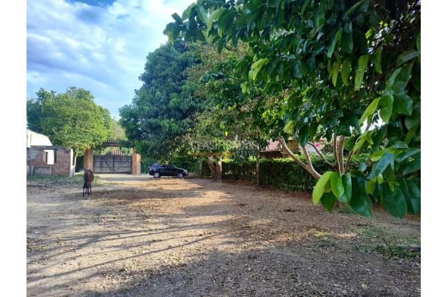 Lotes, Venta, Palmira - $650.000.000