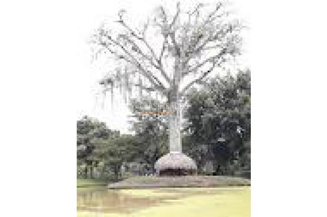 Fincas y Casas Campestres, Venta, Jamundí