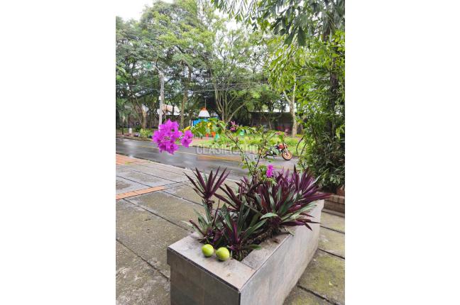 Apartaestudios, Alquiler, Santa Anita