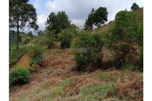 Lotes, Venta, Jamundí - $90.000.000