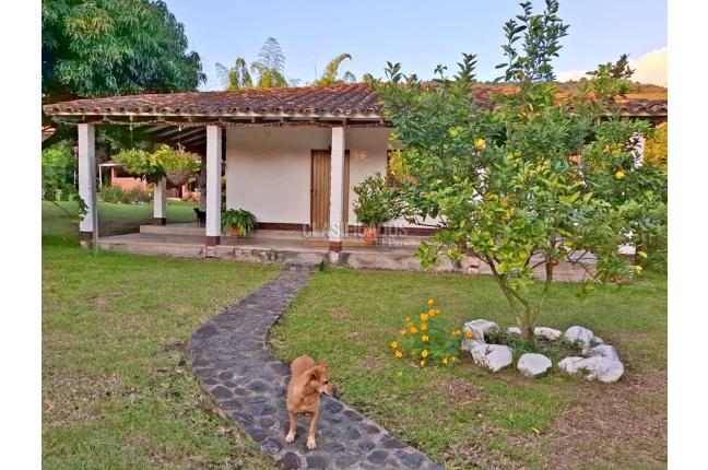 Casas, Venta en Ginebra