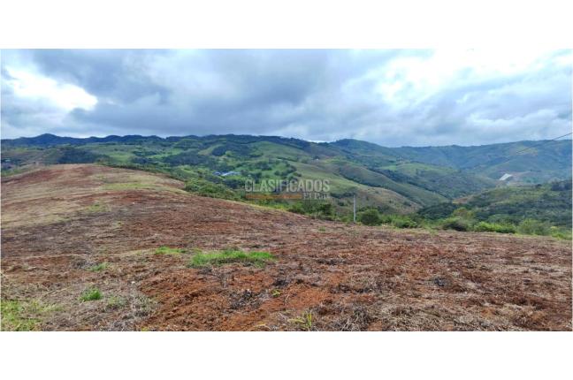 Lotes, Venta en Calima (Darién)