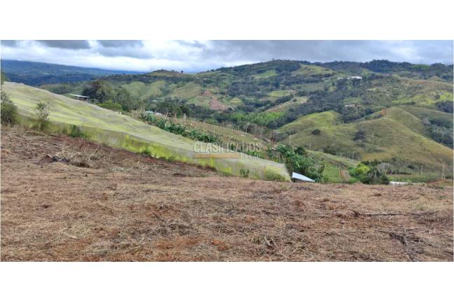 Lotes, Venta en Calima (Darién)