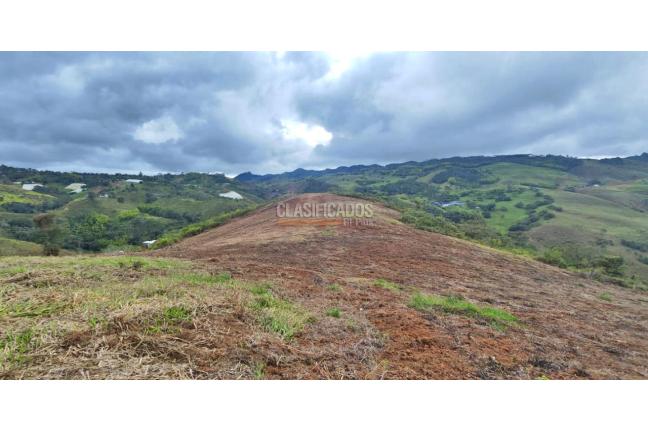 Lotes, Venta, Calima (Darién) - $530.000.000