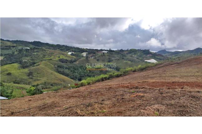 Lotes, Venta, Calima (Darién) - $530.000.000