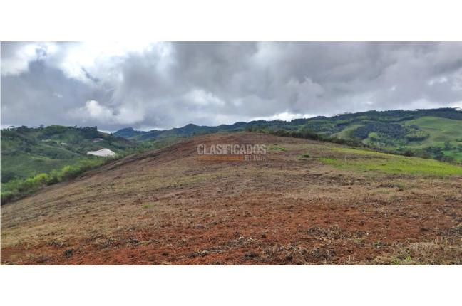 Lotes, Venta, Calima (Darién) - $530.000.000