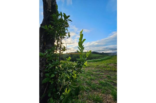 Lotes, Venta, La Cumbre - $150.000.000