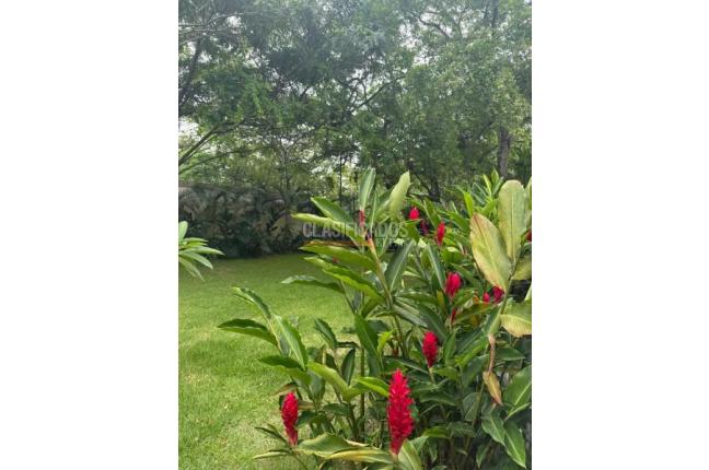 Apartamentos, Venta, Pance - $900.000.000