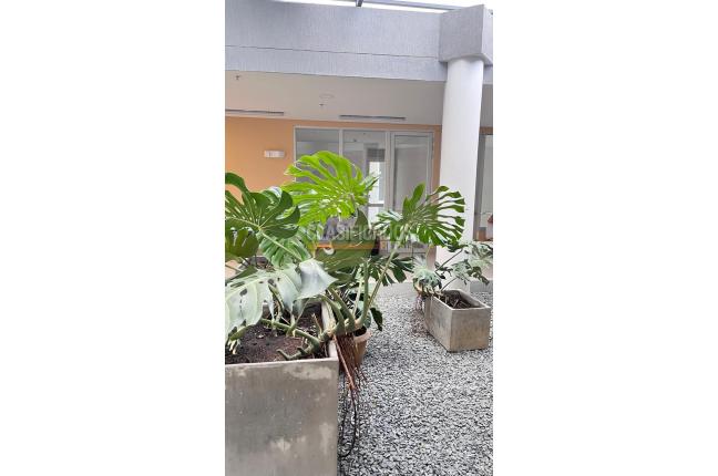 Apartamentos, Venta, Valle del Lili - $790.000.000