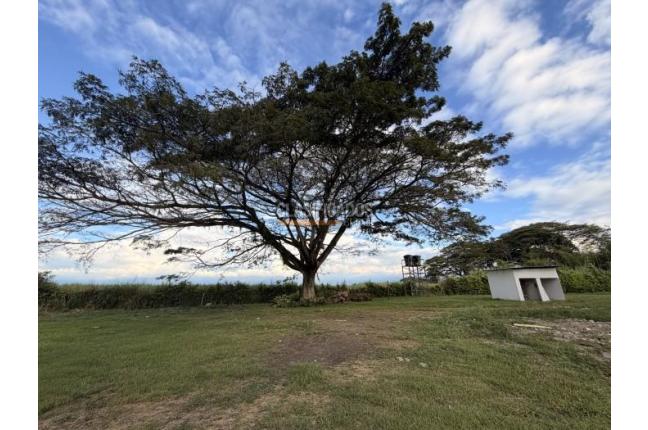 Lotes, Venta en Palmira