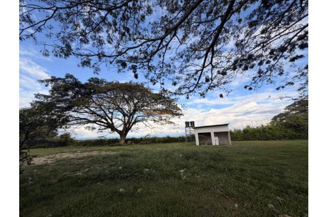 Lotes, Venta en Palmira