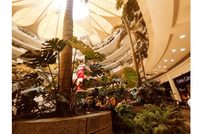 Locales y Bodegas, Venta, Multicentro - $2.000.000.000