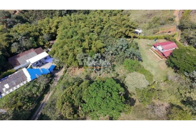 Lotes, Venta en La Buitrera