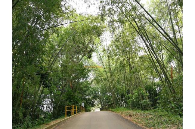 Lotes, Venta, Jamundí - $490.000.000