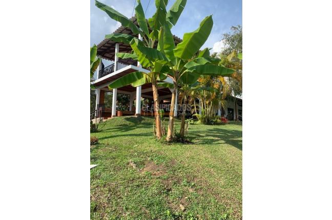 Fincas y Casas Campestres, Venta, Calima (Darién) - $1.350.000.000