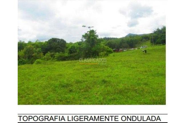 Lotes, Venta, Dagua - $1.500.000.000.000