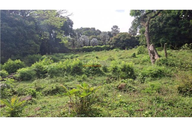 Lotes, Venta, Pance - $11.224.000.000