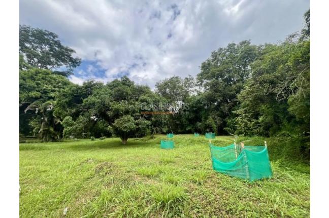 Lotes, Venta, La Buitrera - $2.500.000.000