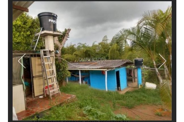 Fincas y Casas Campestres, Venta, Dagua - $295.000.000