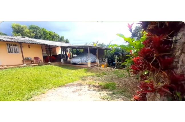 Fincas y Casas Campestres, Venta, Dagua - $295.000.000