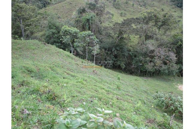 Fincas y Casas Campestres, Venta, Dagua - $1.300.000.000