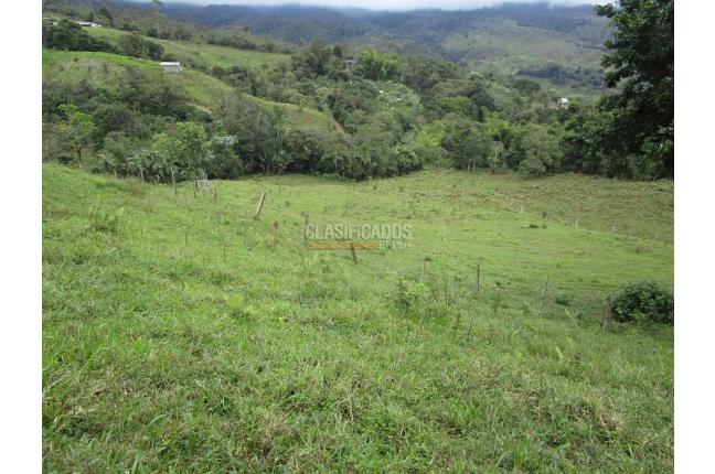 Fincas y Casas Campestres, Venta, Dagua - $1.300.000.000