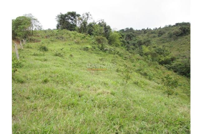 Fincas y Casas Campestres, Venta, Dagua - $1.300.000.000