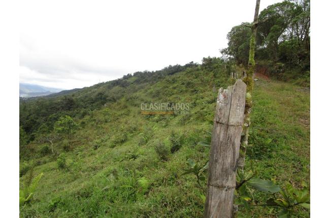 Fincas y Casas Campestres, Venta, Dagua - $1.300.000.000