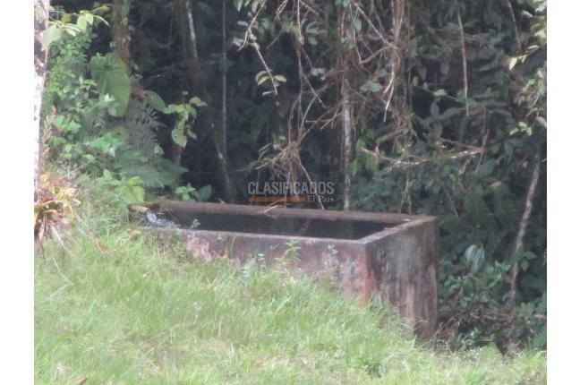 Fincas y Casas Campestres, Venta, Dagua - $1.300.000.000