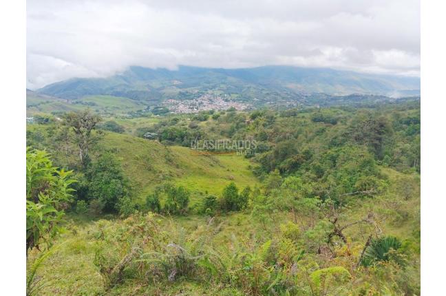 Fincas y Casas Campestres, Venta, Dagua - $1.300.000.000