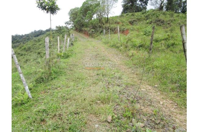 Fincas y Casas Campestres, Venta, Dagua - $1.300.000.000