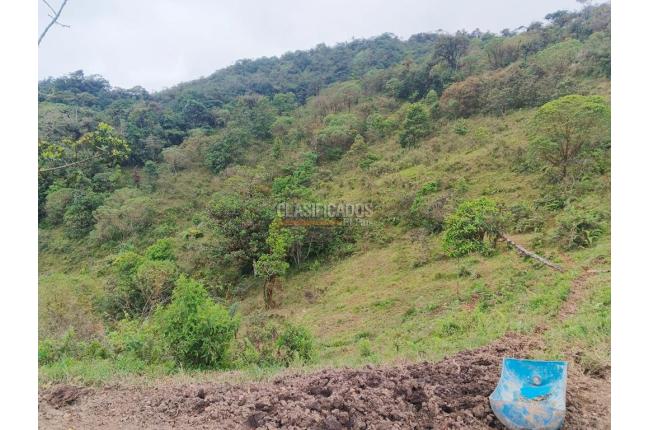 Fincas y Casas Campestres, Venta, Dagua - $1.300.000.000