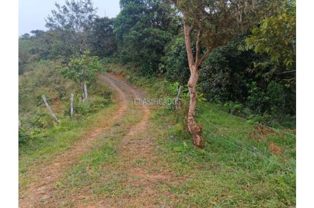 Fincas y Casas Campestres, Venta, Dagua - $1.300.000.000