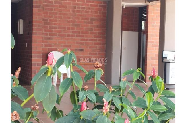 Lotes, Venta, Jamundí - $300.000.000