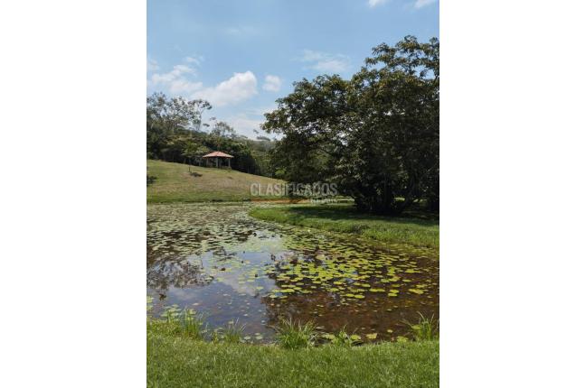 Lotes, Venta, Jamundí - $300.000.000