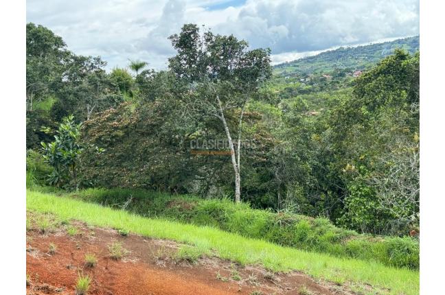 Lotes, Venta, Dagua - $155.000.000