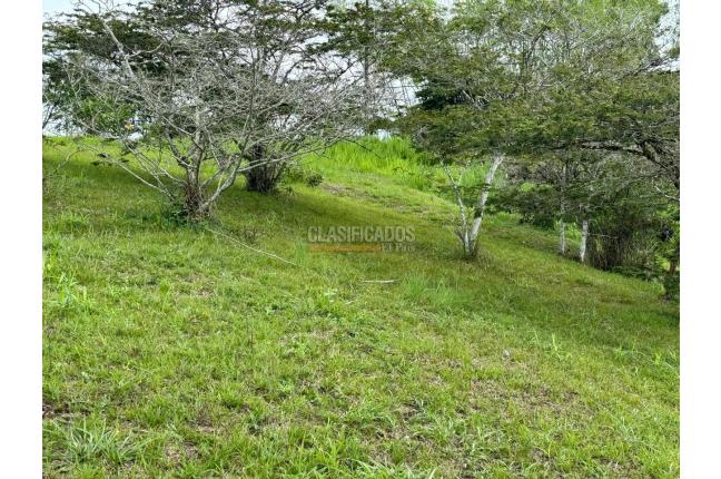 Lotes, Venta, Dagua - $155.000.000