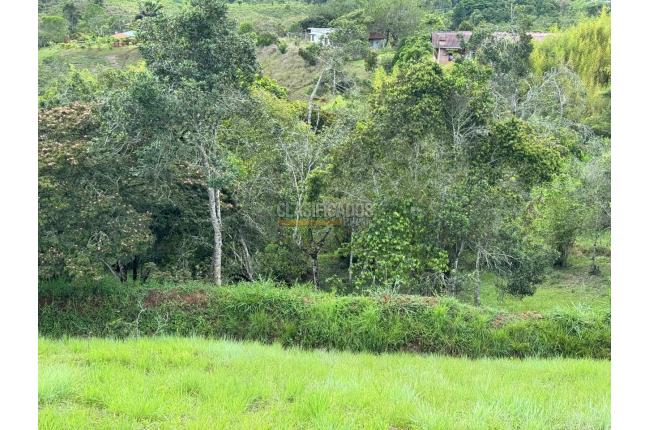 Lotes, Venta, Dagua - $155.000.000