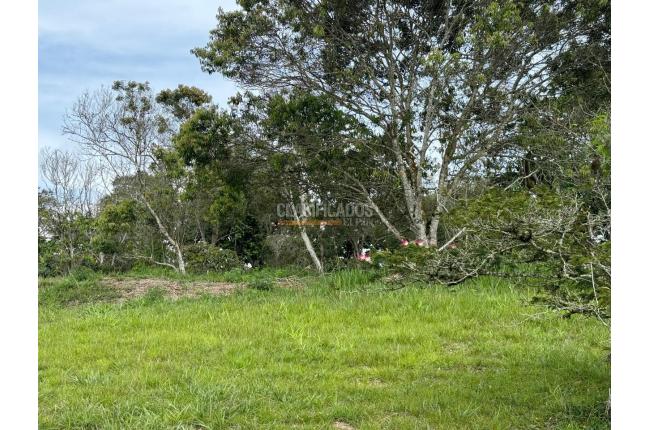 Lotes, Venta, Dagua - $155.000.000