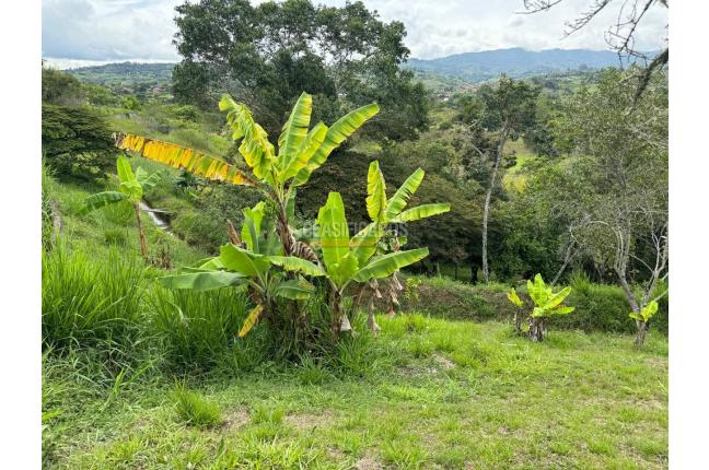 Lotes, Venta, Dagua - $155.000.000