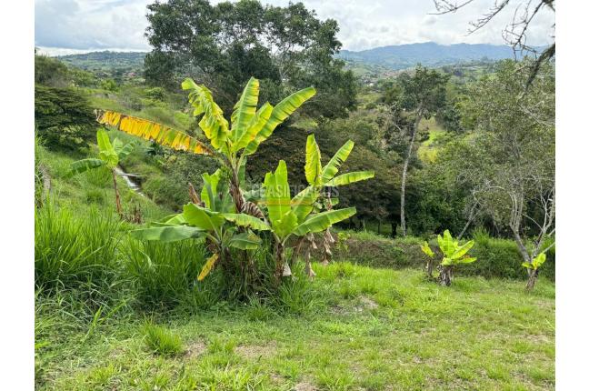 Lotes, Venta, Dagua - $155.000.000