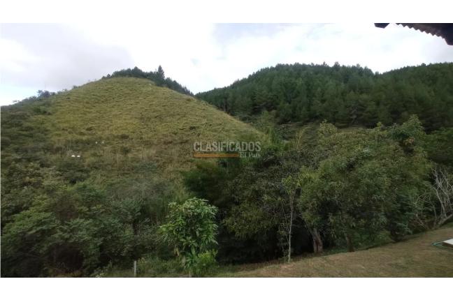 Fincas y Casas Campestres, Venta en Dagua