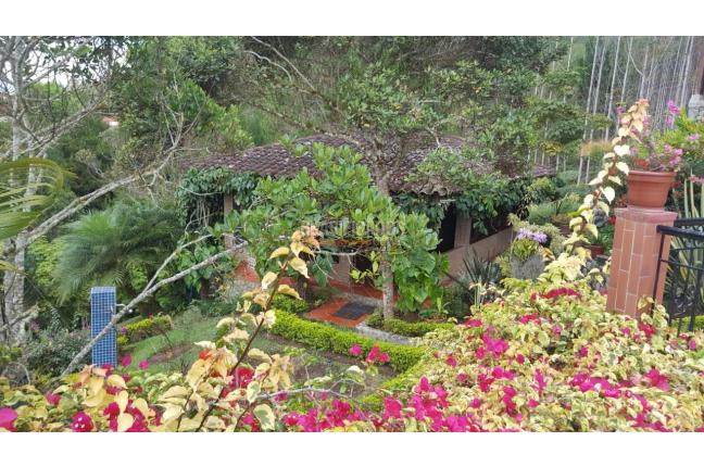 Fincas y Casas Campestres, Venta, Dagua - $990.000.000