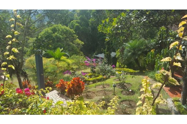 Fincas y Casas Campestres, Venta, Dagua - $990.000.000