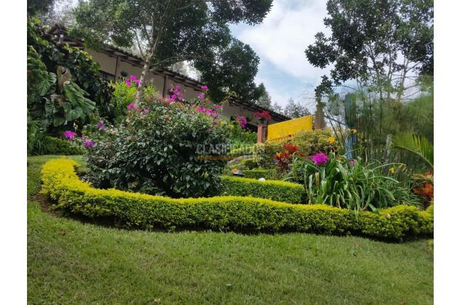 Fincas y Casas Campestres, Venta, Dagua - $990.000.000