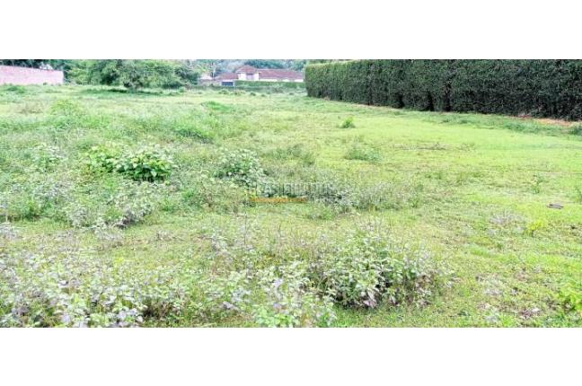 Lotes, Venta, Pance - $7.400.000.000