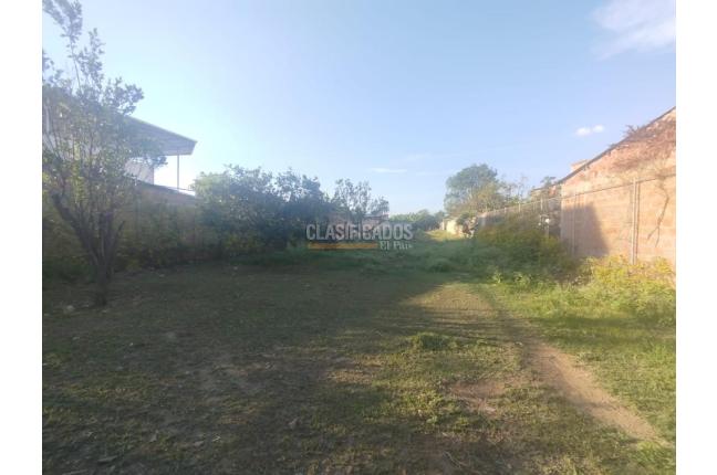 Lotes, Venta, Palmira - $280.000.000